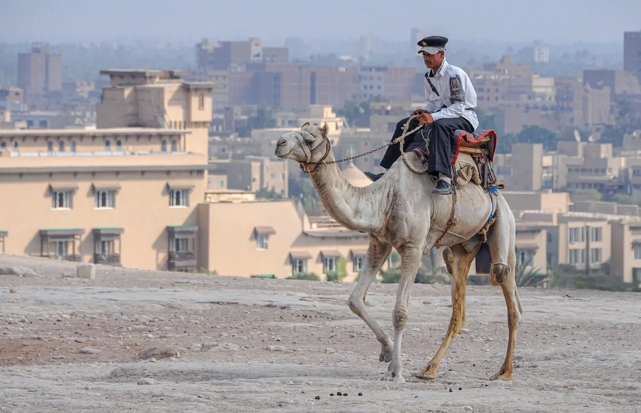 Stadtansicht von Kairo mit den Pyramiden von Gizeh – Auswandern nach Ägypten