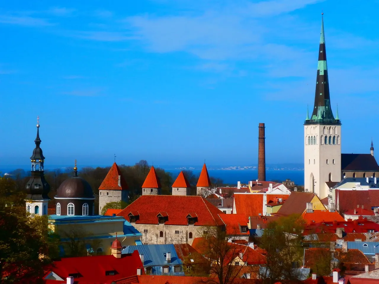 Firmengründung in Estland