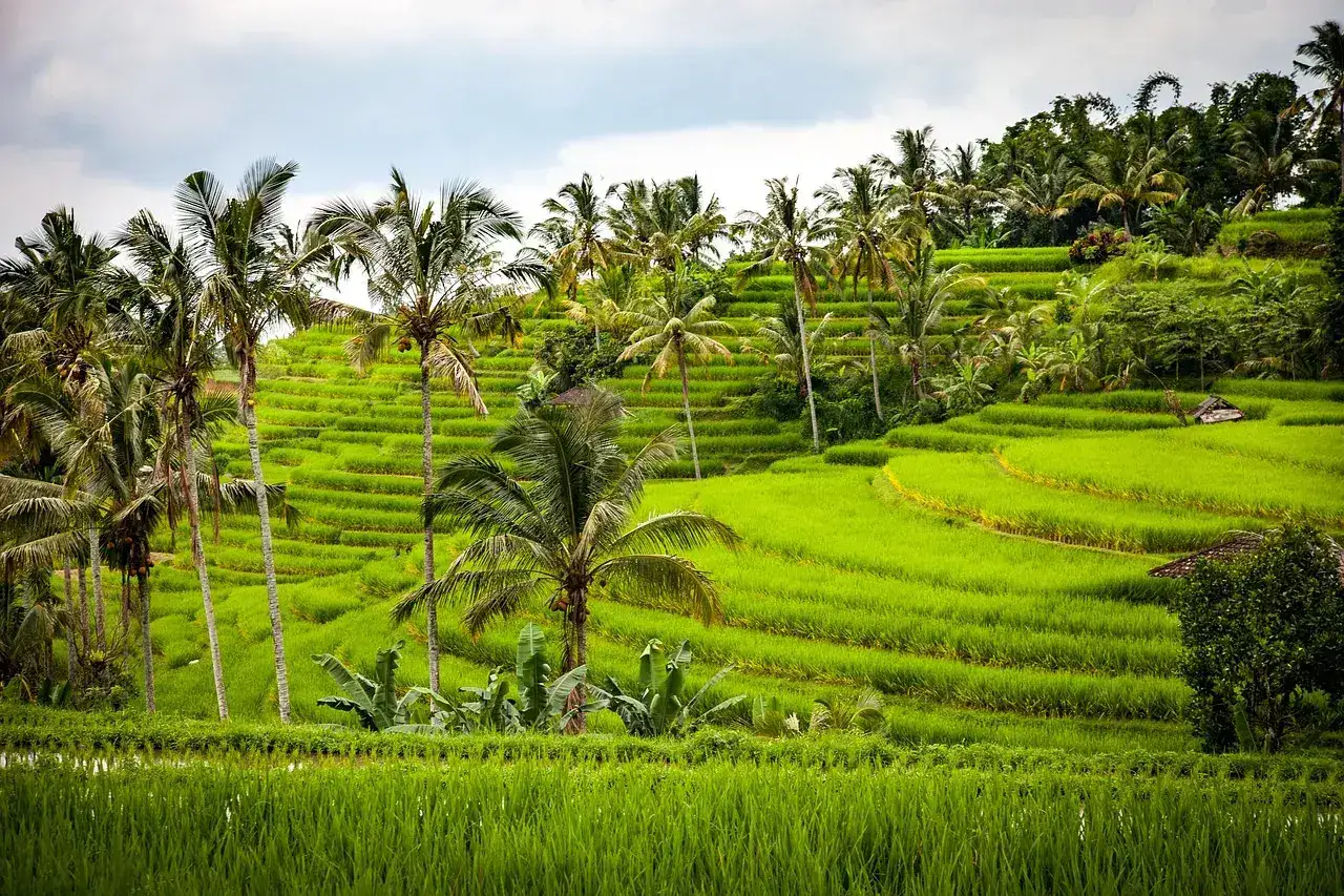 Immobilien in Bali (Indonesien)