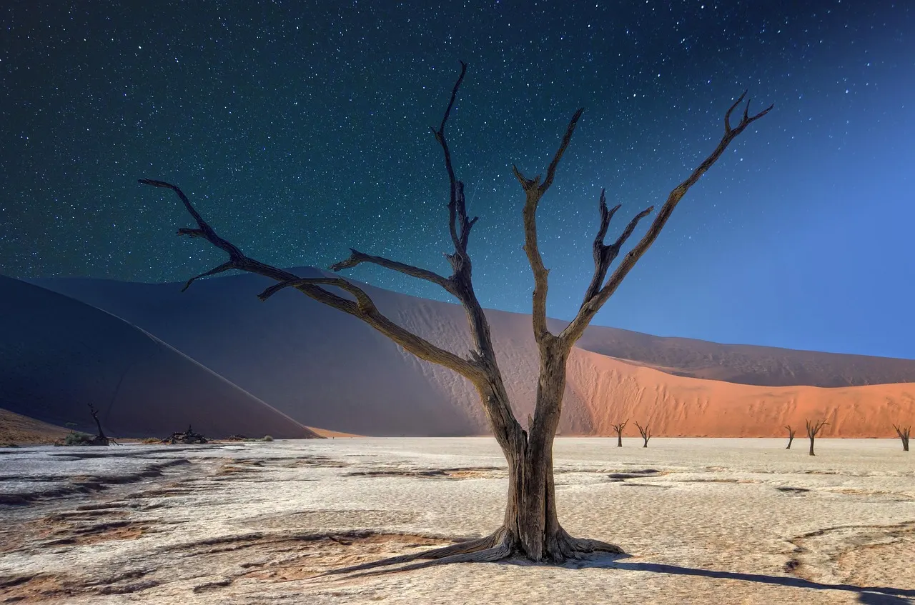 Wüstenlandschaft mit Dünen in Namibia – Auswandern nach Namibia