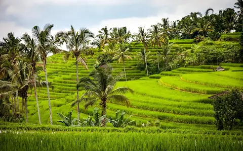 Reisterrassen und Tempel auf Bali – Auswandern nach Bali (Indonesien)