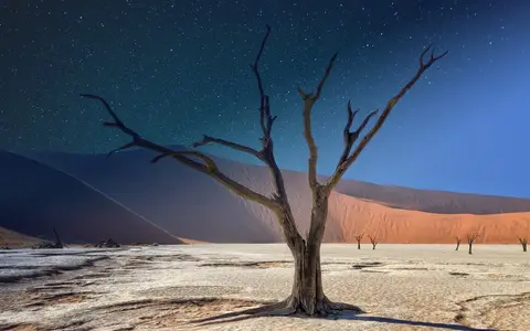 Wüstenlandschaft mit Dünen in Namibia – Auswandern nach Namibia